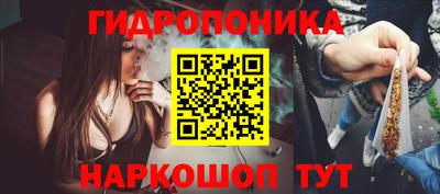 spice Аргун